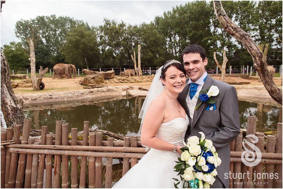 Creative portraits with Bride and Groom at Elephant enclosure at Twycross Zoo in Atherstone by Reportage Wedding Photographer Stuart James