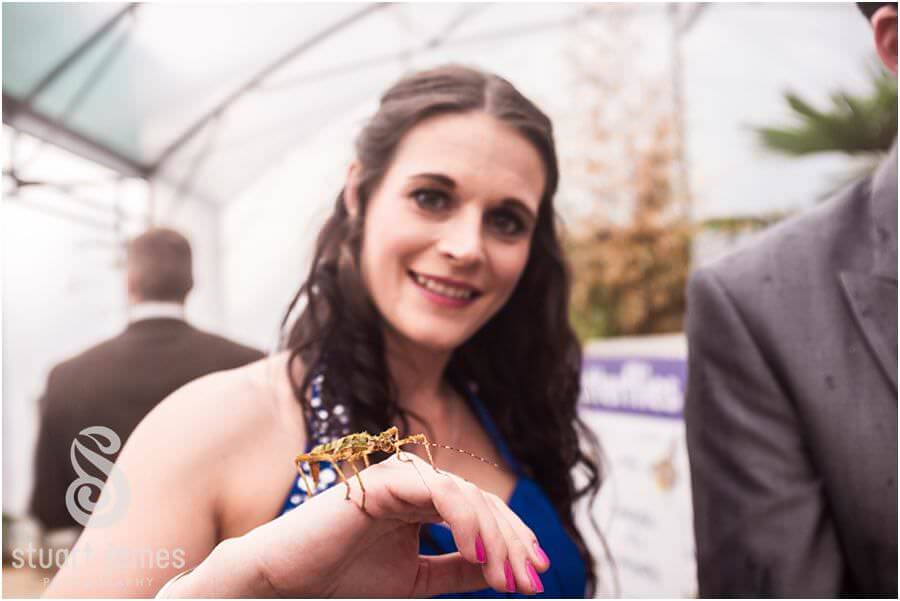 Creative wedding photographs in butterfly enclosure at Twycross Zoo in Atherstone by Reportage Wedding Photographer Stuart James
