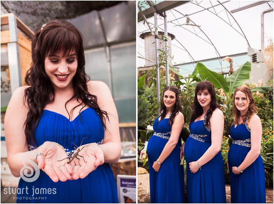 Creative wedding photographs in butterfly enclosure at Twycross Zoo in Atherstone by Reportage Wedding Photographer Stuart James