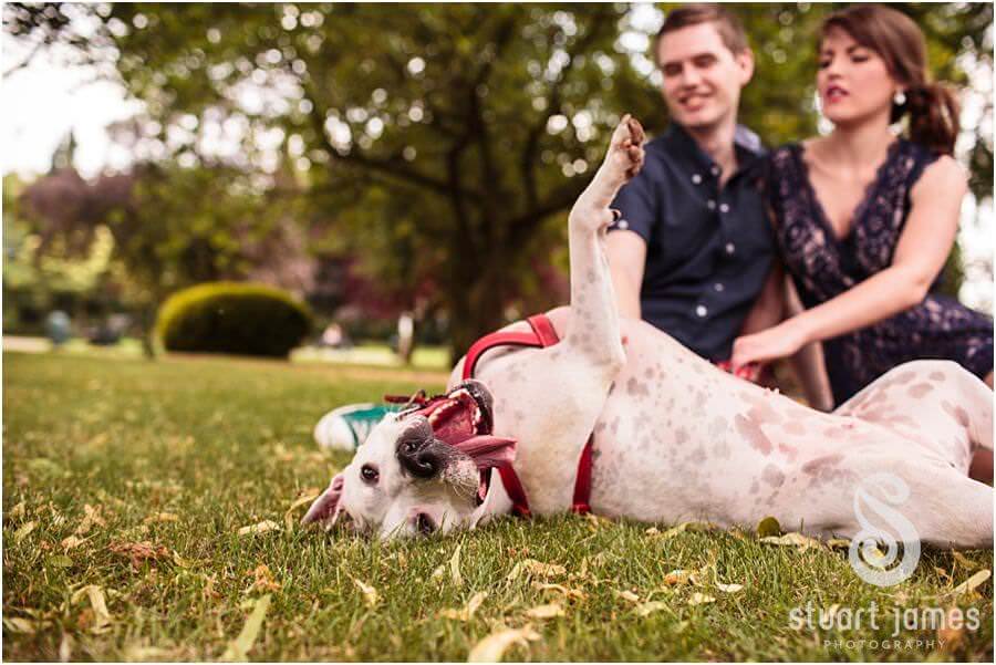 Engagement portraits by Stafford Wedding Photographer Stuart James of stunning young couple in Victoria Park in Stafford ahead of their Stafford wedding