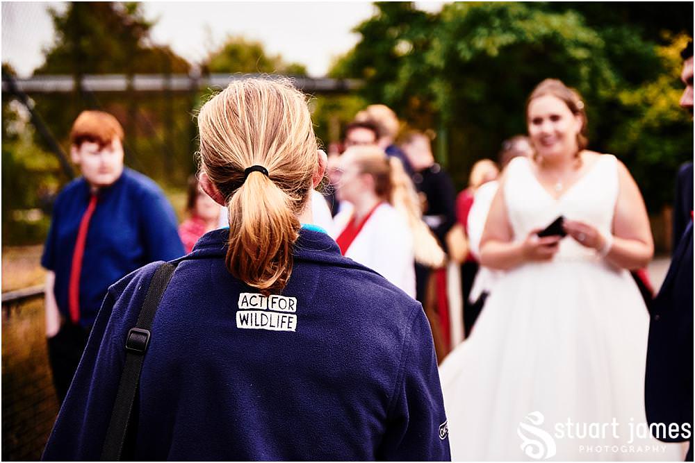 Creative photographs as the bride and groom and wedding guests enjoy an animal safari around Chester Zoo in Chester by Documentary Wedding Photographer Stuart James